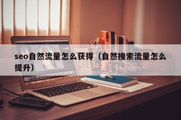 seo自然流量怎么获得（自然搜索流量怎么提升）