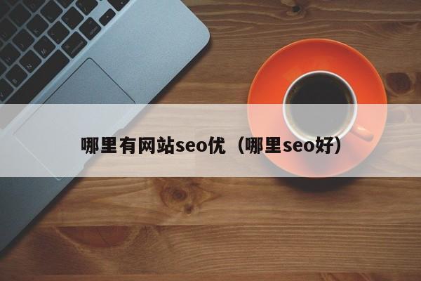 哪里有网站seo优（哪里seo好）