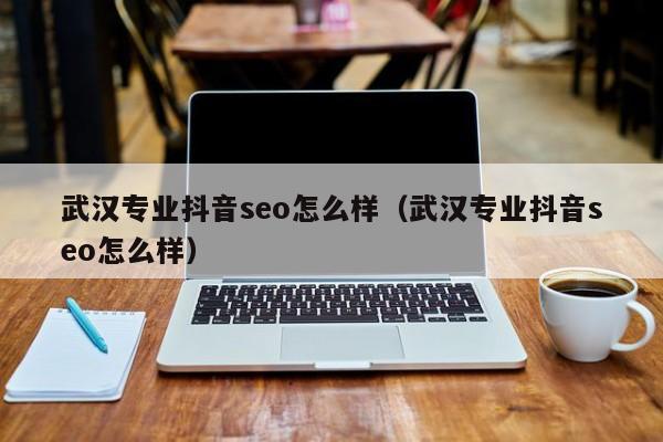 武汉专业抖音seo怎么样（武汉专业抖音seo怎么样）