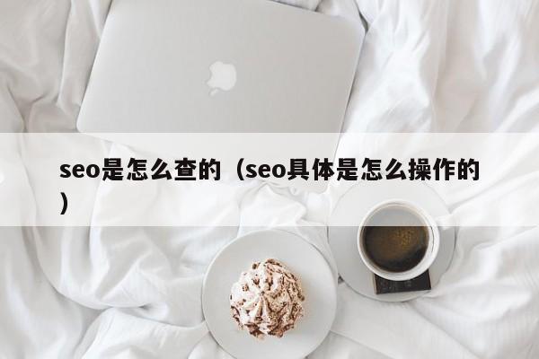 seo是怎么查的（seo具体是怎么操作的）