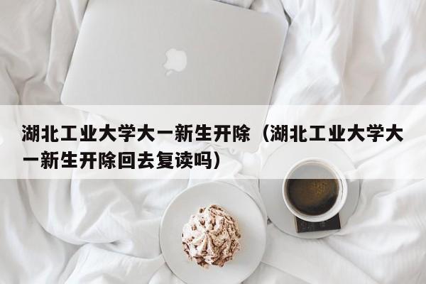湖北工业大学大一新生开除（湖北工业大学大一新生开除回去复读吗）