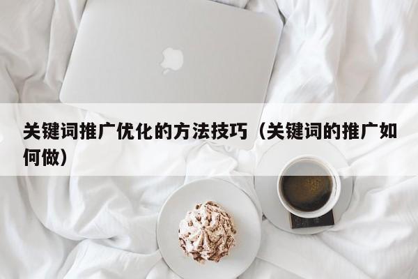 关键词推广优化的方法技巧（关键词的推广如何做）